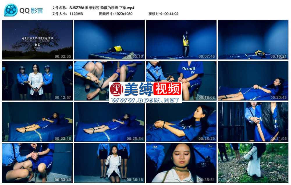 胜景影视 隐藏的秘密 下集