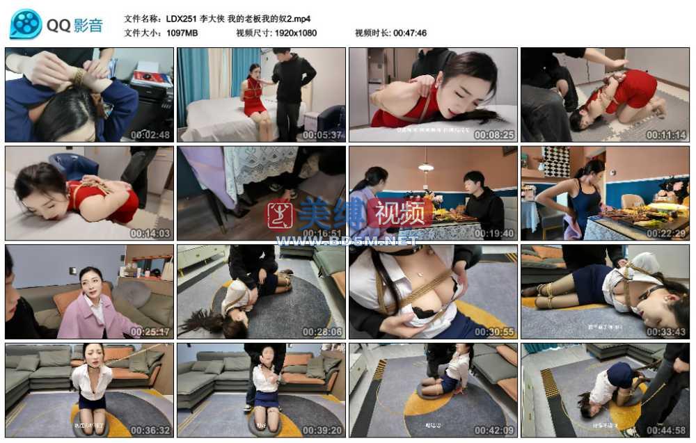 李大侠 我的老板我的奴2