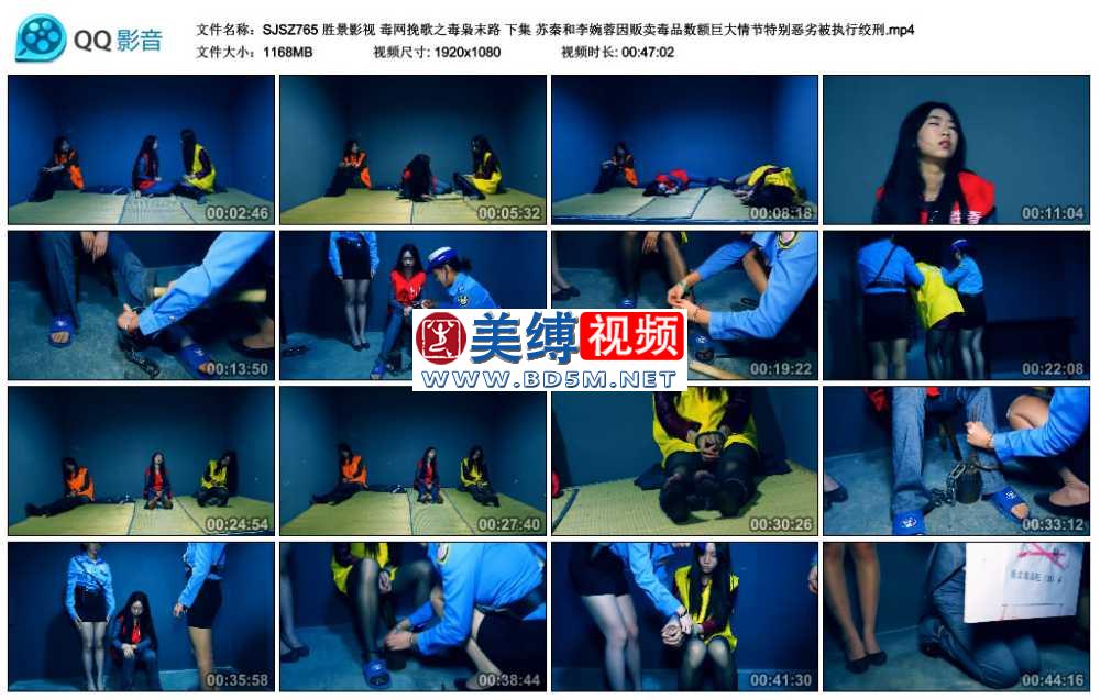 胜景影视 毒网挽歌之毒枭末路 下集 苏秦和李婉蓉因贩卖毒品数额巨大情节特别恶劣被...