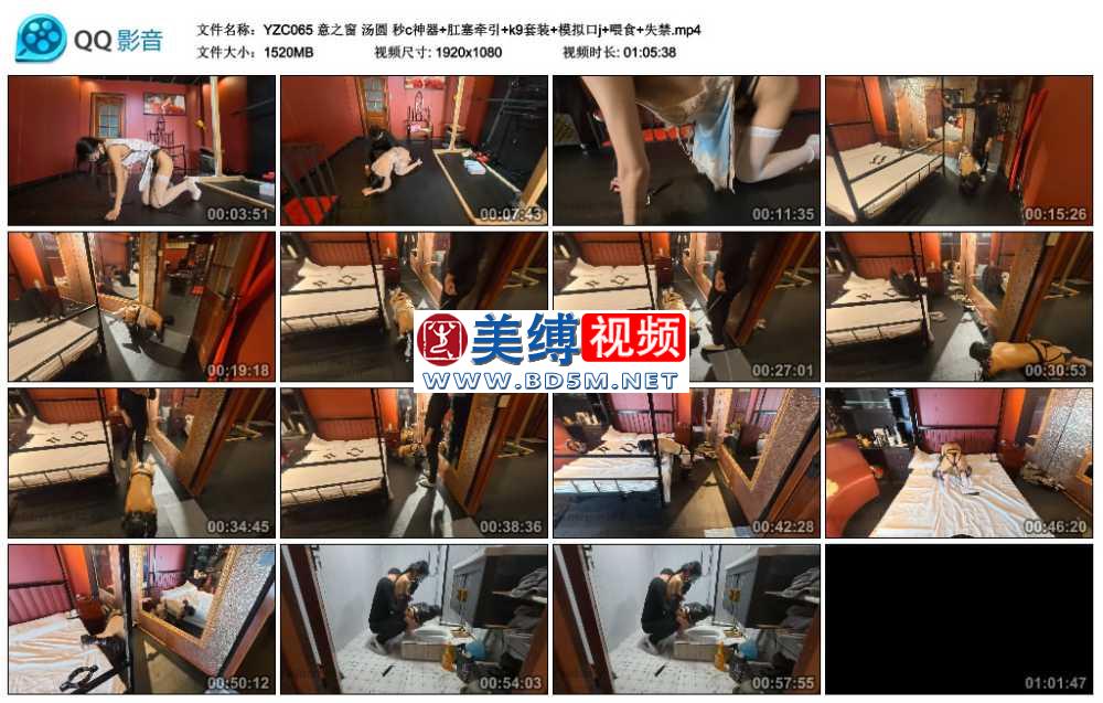 意之窗 汤圆 秒c神器+肛塞牵引+k9套装+模拟口j+喂食+失禁