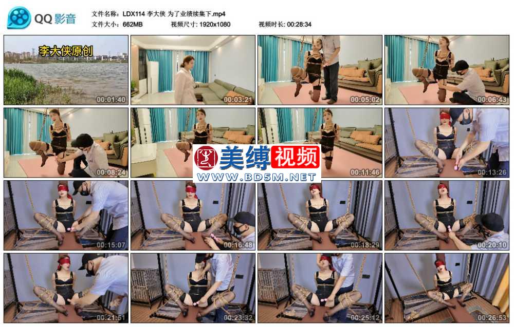 李大侠 为了业绩续集下