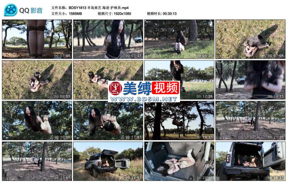 海语 护林员_半岛束艺台