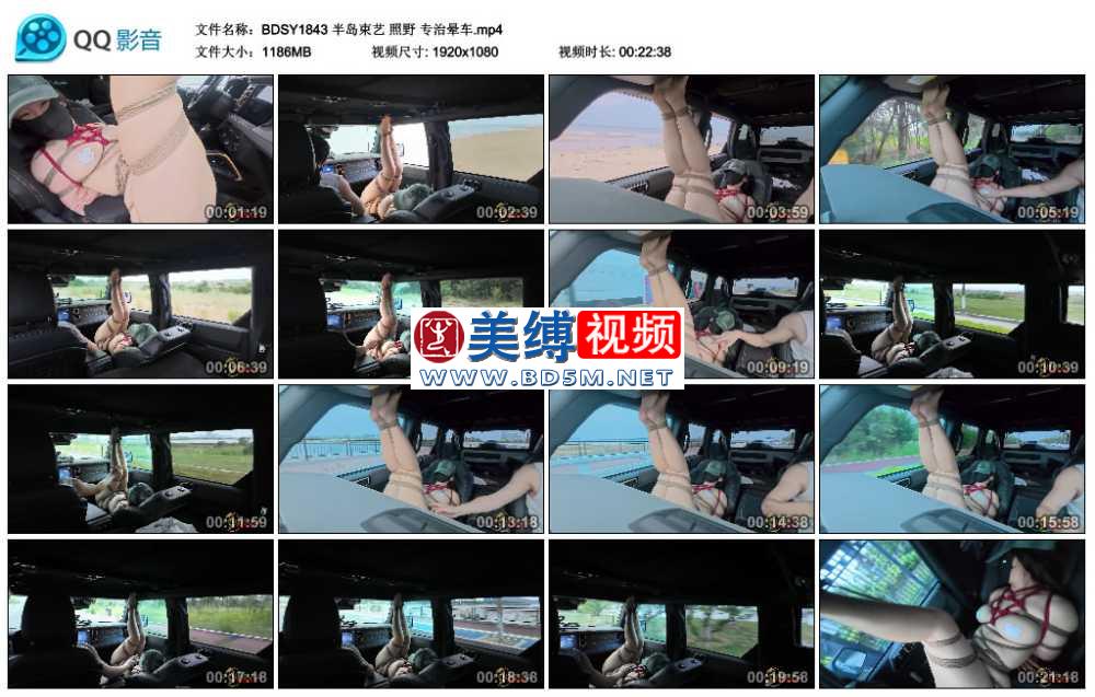 照野 专治晕车
