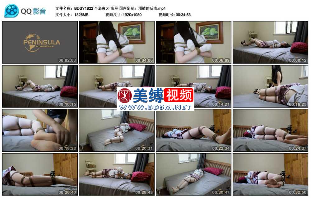 流星 国内定制：项链的反击_半岛束艺台
