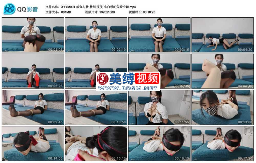 咸鱼与梦 梦川 雯雯 小白领的危险应聘