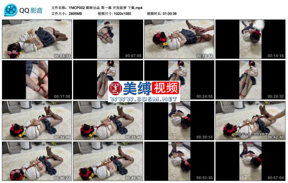 眼眸出品 第一部 开发欲梦 下集