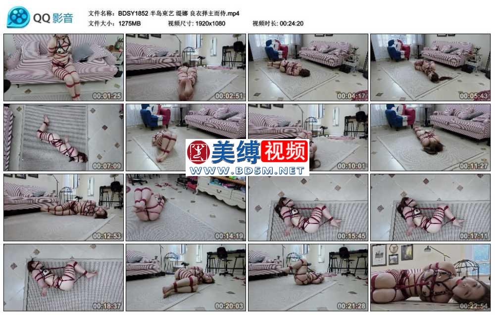 缇娜 良衣择主而侍