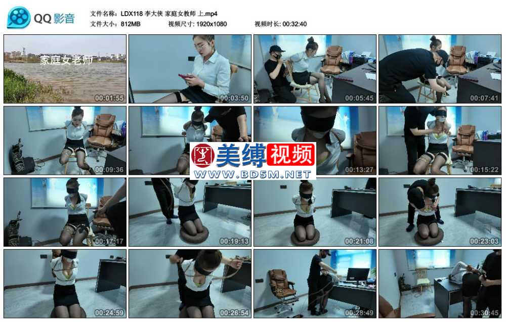 李大侠 家庭女教师 上