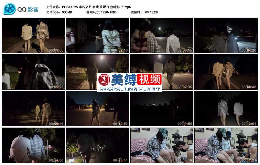 酒精 照野 午夜缚影 下