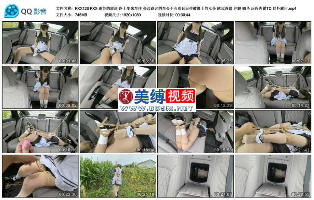 FXX 奇妙的旅途 路上车来车往 旁边路过的车会不会看到后排被绑上的女仆 欧式直臂 ...