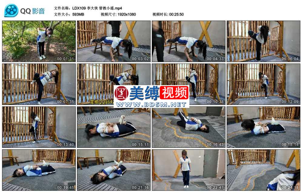 李大侠 管教小遥