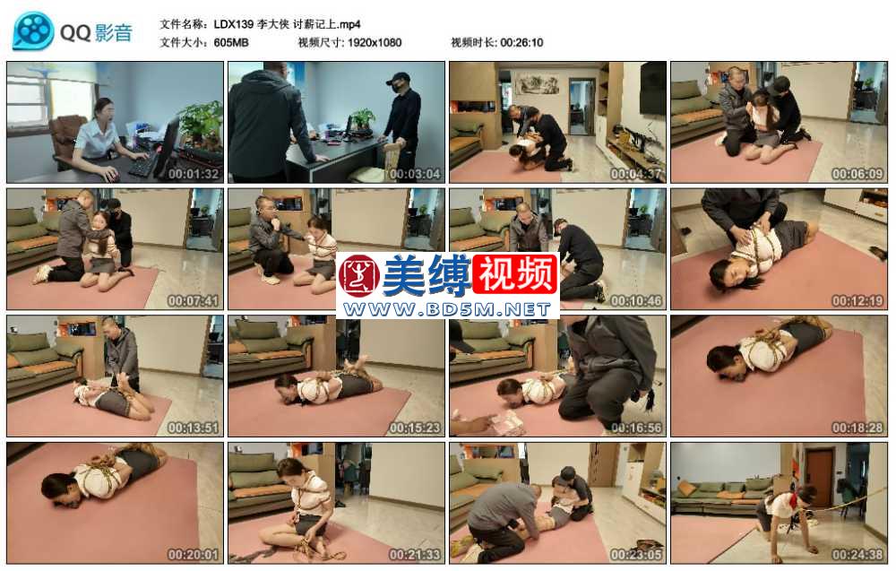 李大侠 讨薪记上
