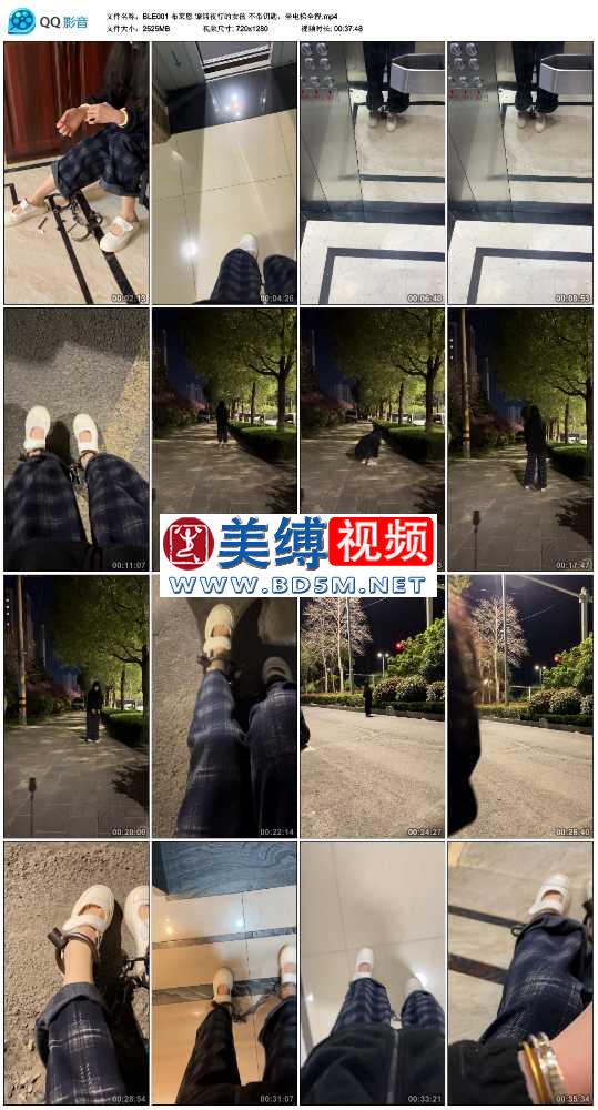 布莱恩 镣铐夜行的女孩 不带钥匙，坐电梯全程