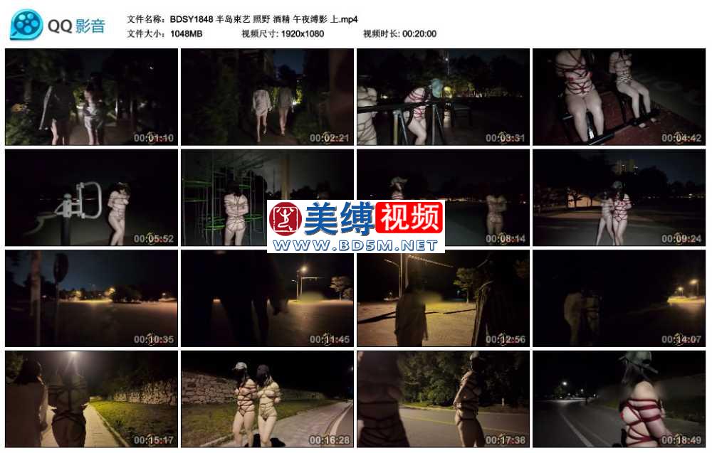 照野 酒精 午夜缚影 上