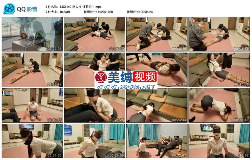 李大侠 讨薪记中