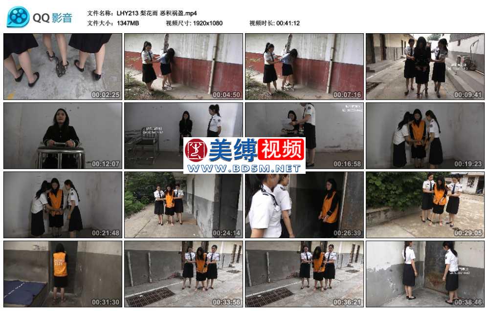 梨花雨 恶积祸盈