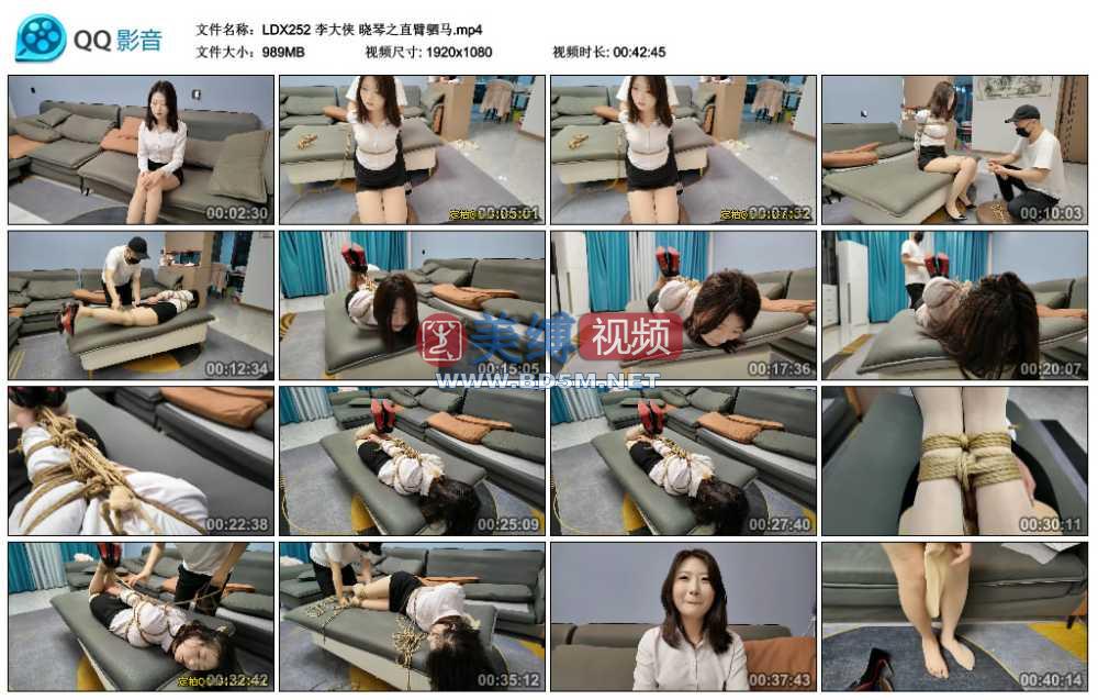 李大侠 晓琴之直臂驷马