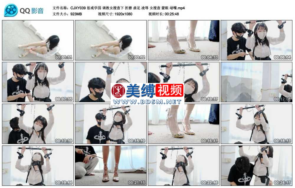 惩戒学园 调教女搜查下 折磨 虐足 凌辱 女搜查 蒙眼 堵嘴