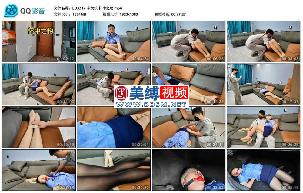 李大侠 怀中之物