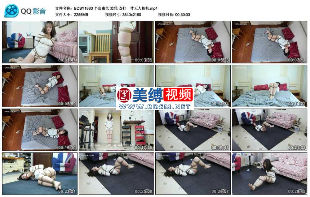 波雅 查打一体无人相机