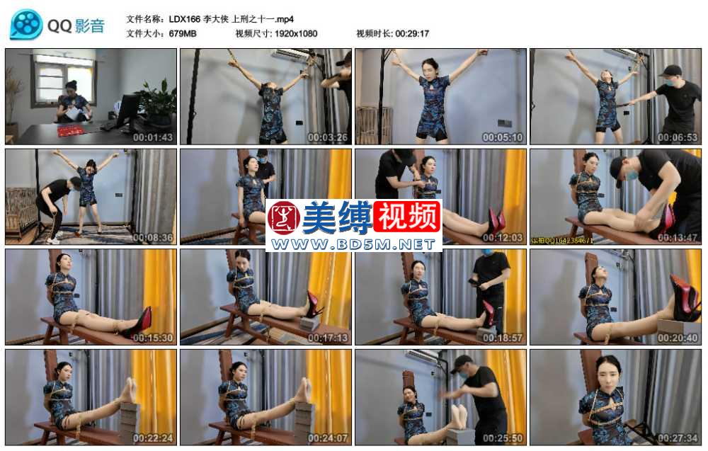 李大侠 上刑之十一