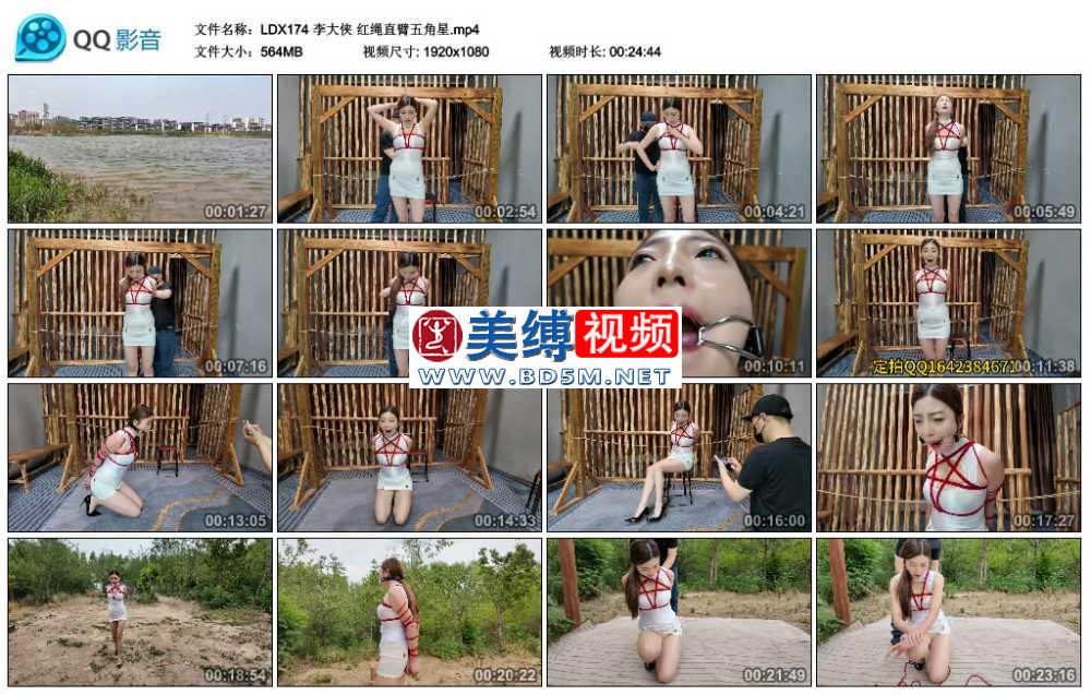 李大侠 红绳直臂五角星