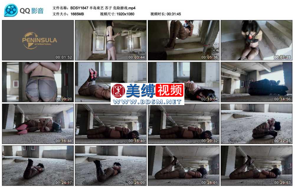 苏子 危险游戏