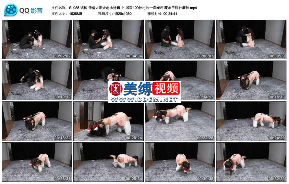 试炼 倩倩人形犬电击特辑 上 郊狼100被电的一直喊疼 膝盖手肘被磨破