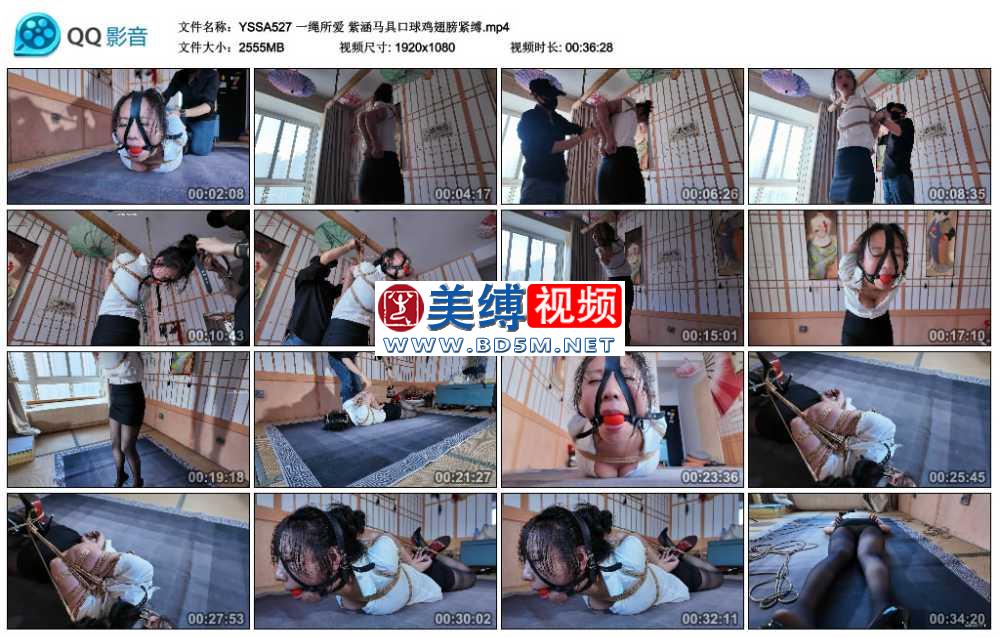 一绳所爱 紫涵马具口球鸡翅膀紧缚
