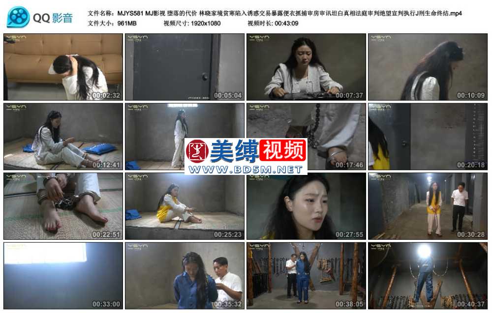 MJ影视 堕落的代价 林晓家境贫寒陷入诱惑交易暴露便衣抓捕审房审讯坦白真相法庭审...