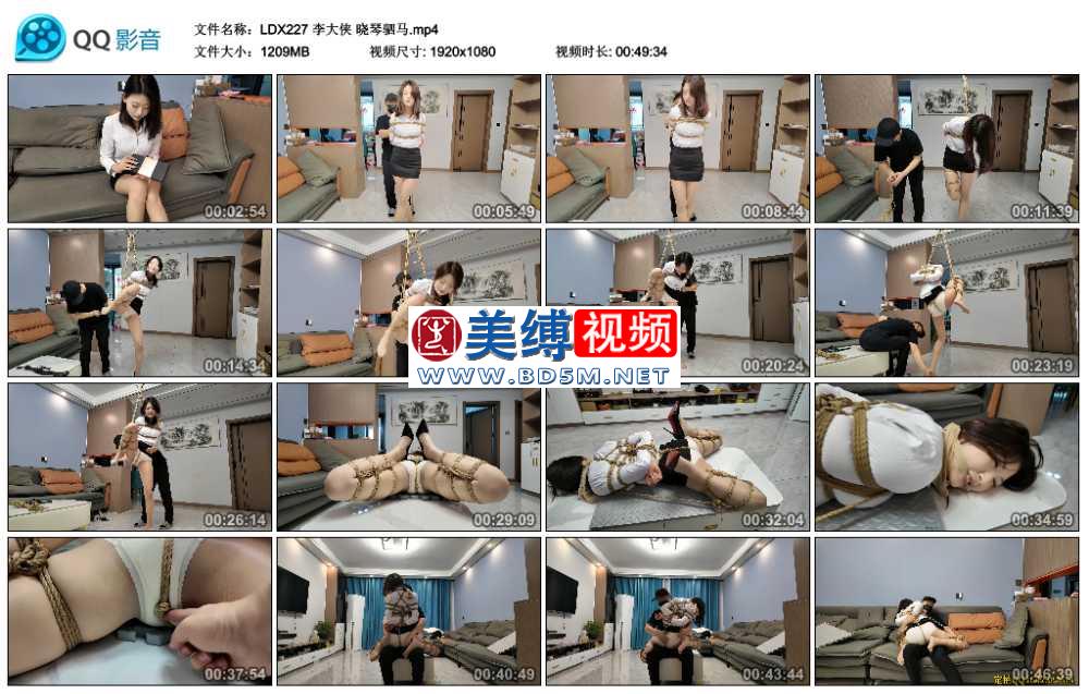 李大侠 晓琴驷马